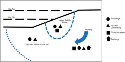 A subterranean estuarine typology analogous to open-water estuaries